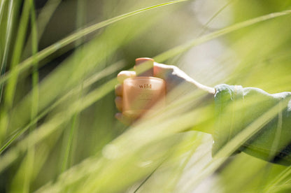 no. 38 wild • clean perfume • roll-on or eau de parfum options