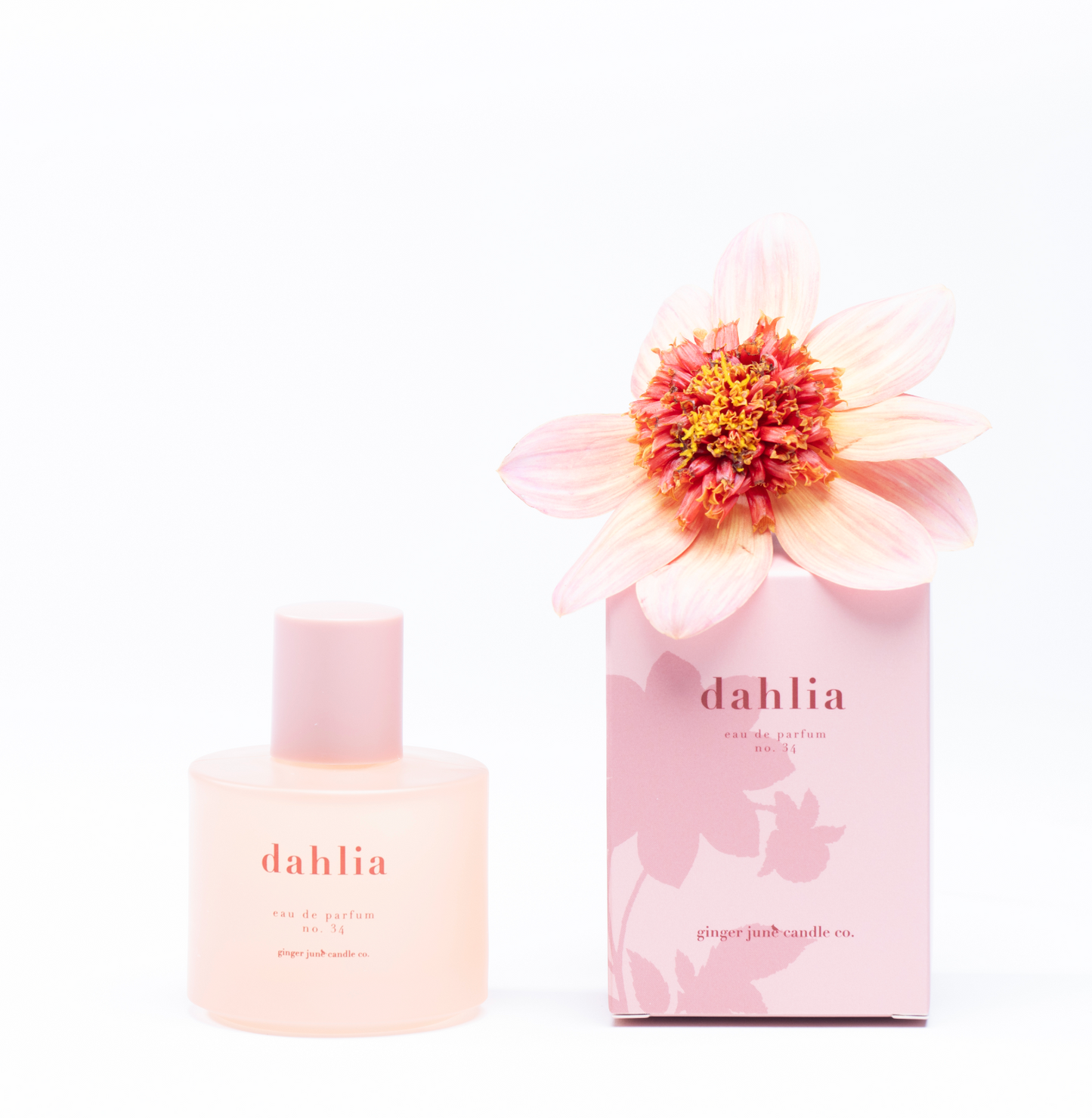 no. 34 dahlia • clean perfume •  roll-on or eau de parfum options